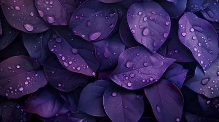 Rolgordijnen water drops on a purple flower © AI imagebank