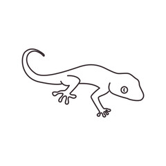gecko line icon logo vector