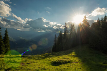 beautiful summer mountain forest landscape. early morning sun rays over the spruce forest and beautiful green mountains.
