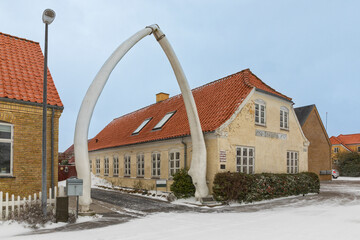Jaws from a blue whale at the village of Hals, Denmark - 747331975