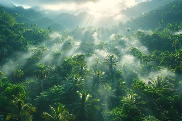 Foto op Canvas Jurassic period dense jungle scene dinosaurs in the mist early morning light © charunwit