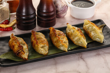 Fried Japanese stuffed dumplings - Gyoza