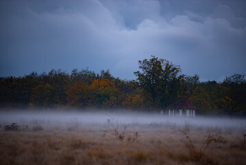 Obraz na płótnie Canvas Landscape with fog at dusk. An open field at the edge of the forest during a dark evening after rain
