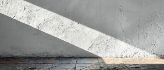 In the background, a white wall has an abstract shadow