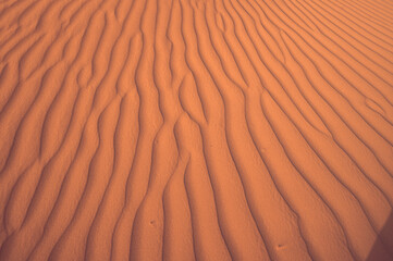 sand dunes in the desert