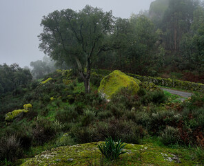 The beauty of fog on the mountain, Monsanto, Castelo Branco, portugal