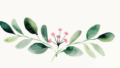 watercolor arrangements with small flower. Botanical illustration minimal style