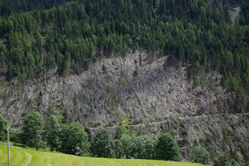 Sturmschäden im Bergwald, Windbruch, Südtirol, Italien, Europa 