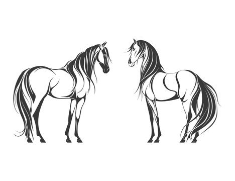 Two beautiful stylized horses, vector illustration
