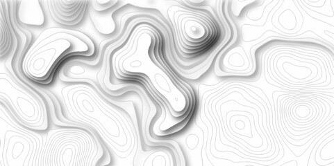 The stylized height of the topographic map in contour, lines. Topography and geography map grid abstract backdrop. creative cartography illustration. Black and white landscape geographic pattern.