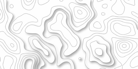 The stylized height of the topographic map in contour, lines. Topography and geography map grid abstract backdrop. creative cartography illustration. Black and white landscape geographic pattern.