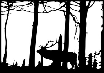 Fototapeta premium Nature vector