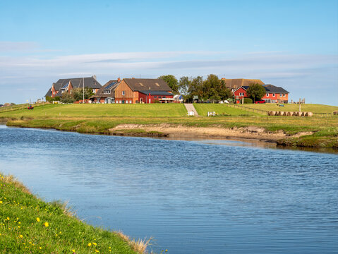 Ockelutzwarft on Hallig Hooge, North Frisia, Schleswig-Holstein, Germany