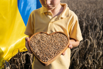 children's hands hold heart-shaped plate full of ripe grains of wheat, in background there is...