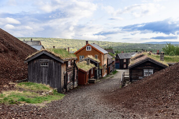 Fototapeta na wymiar A tranquil street in Roros lined with traditional Norwegian houses, their grass roofs merging seamlessly with the hillside, under a vast, open sky
