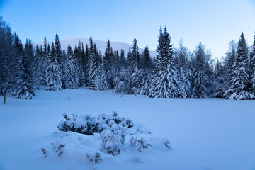 Fototapeta na wymiar Swedish Winter Wonderland: Sunlit Snowy Wilderness with Majestic Fir Trees in Northern Europe