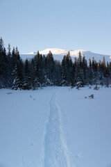 Swedish Winter Wonderland: Snowy Forest with Majestic Mountain at Sunrise in Northern Europe