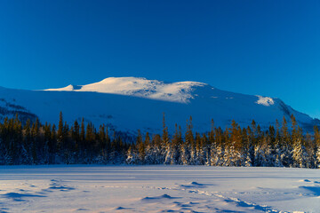 Swedish Winter Wonderland: Snowy Forest with Majestic Mountain at Sunrise in Northern Europe