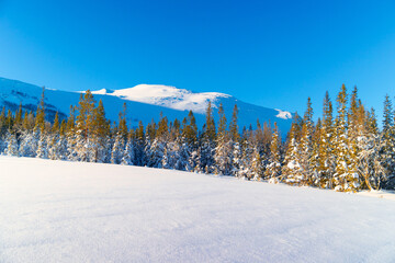 Fototapeta na wymiar Swedish Winter Wonderland: Snowy Forest with Majestic Mountain at Sunrise in Northern Europe