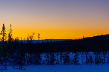 Mystical Swedish Winter Wilderness: Nocturnal Snowscape Under the dark Sky in Northern Europe