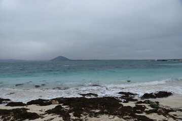 Emerald sea on a cold winter day