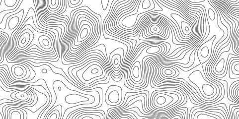 Topographic Map in Contour Line Light Topographic White seamless marble texture. Panorama view gradient multicolor wave curve lines banner background design.