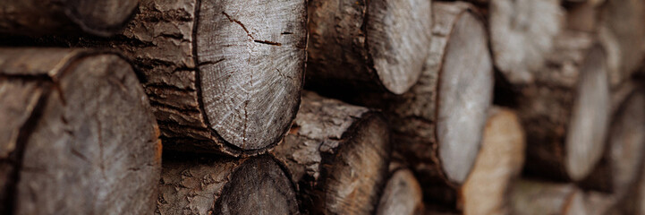 Cross section of tree trunks, timber background. Log trunks pile, the logging timber wood industry....