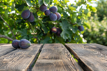 wooden table, boardwalk in the garden with figs. fruit mockup, background for the display of your product.