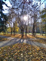 Mariupol. Donbass. City square in autumn.