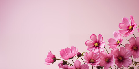 Fototapeta premium Spring flowers card, Happy Easter background. Mother's Day. International Women's Day.