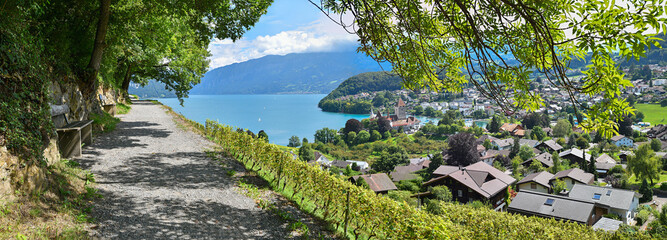 idyllic hiking trail above Rebberg vineyard, view to historic castle Spiez and lake Thunersee,...