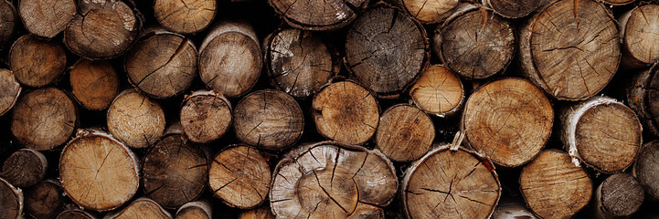 Cross section of tree trunks, timber background. Log trunks pile, the logging timber wood industry....