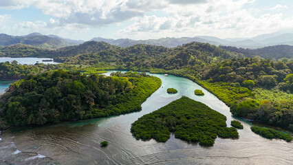 drone images of mangroves in the Caribbean