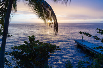Ponton avec un pêcheur en contre-jour au soleil couchant à l'horizon, couleurs froides, et palmes de cocotier devant l'océan