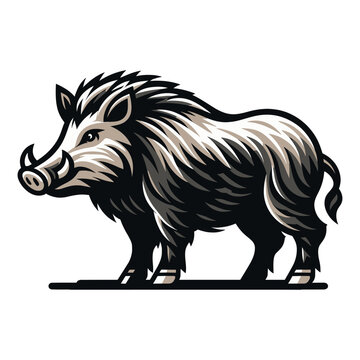 recommend clip art: Wild hog boar pig full body design vector illustration, beast animal wildlife template isolated on white background