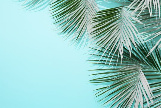 tropical palm leaves on the beach with turquoise background © IgnacioJulian