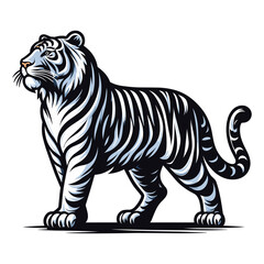 Naklejka premium Wild white tiger full body vector illustration, zoology illustration, animal predator big cat design template isolated on white background