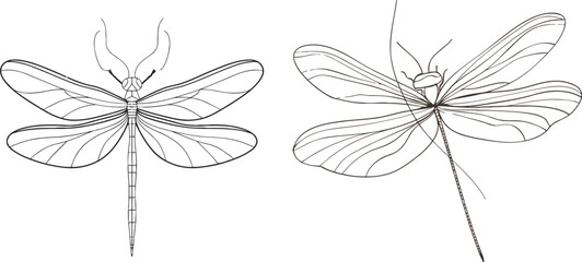 Continuous one line drawing. Flying dragonfly logo
