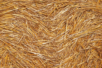 Dry straw texture background, straw bale

