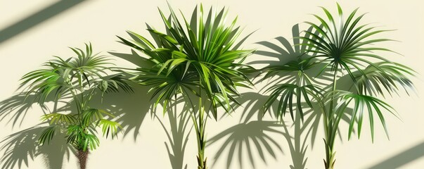 small palms, green and brown, green and gray, modern design, modern, isolated figures, floral still-lifes