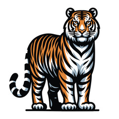 Obraz premium Wild tiger full body vector illustration, zoology illustration, animal predator big cat design template isolated on white background