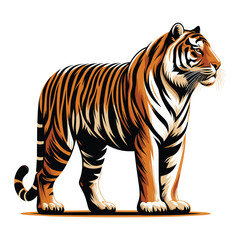 Obraz premium Wild tiger full body vector illustration, zoology illustration, animal predator big cat design template isolated on white background