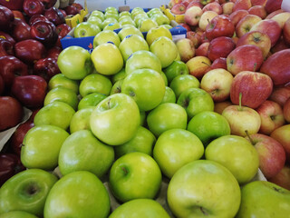 Apples - fruit
