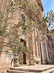beige church facade, olive tree, large historical building, Italian baroque church