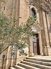 beige church facade, olive tree, large historical building, Italian baroque church