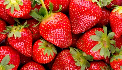 Tischdecke Erdbeeren Hintergrund  © Sina Ettmer