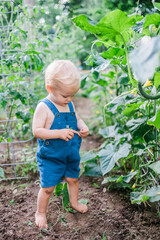 Toddler in Garden 