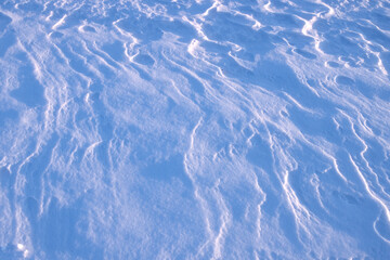 drawing on the surface of a snowy plain, created by the wind, illuminated by the setting sun