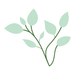 Leaf plant element for beautiful design. Simple form. Vector drawing.