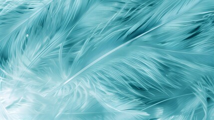 Falling tosca color feather, Abstract background texture. copy space, wings. 